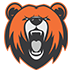Bear Cut Fitness Logo